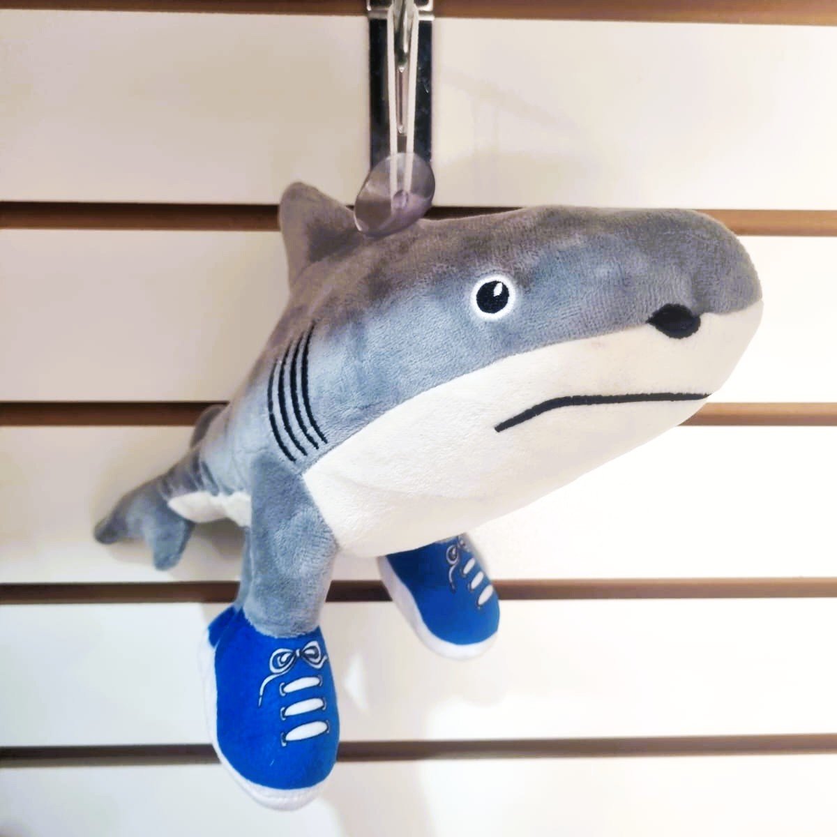 WhatsApp Image 2026-01-08 at 16.32.34